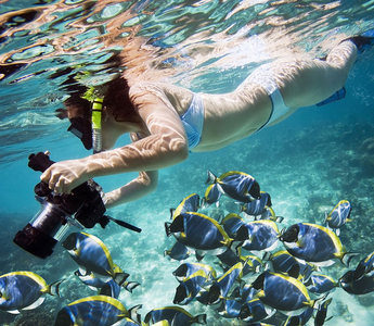 How to Take Great Photos Underwater